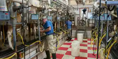 Industry 2